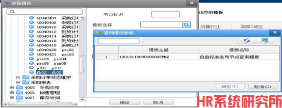报表设计时预览可以查询，发布节点后报无查询模板(图9)